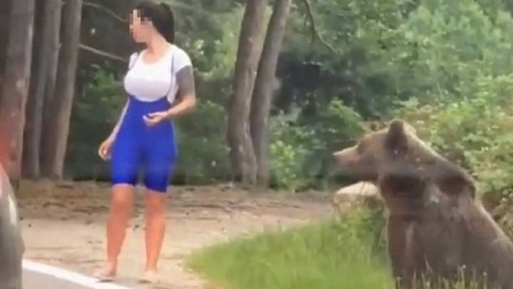 Esta chica se acerca a un oso para hacerse una foto: lógicamente, no fue buena idea