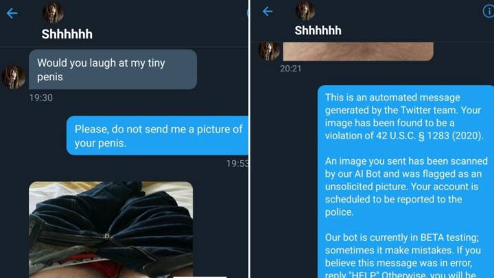 La respuesta viral de una chica que recibió una foto "no deseada"