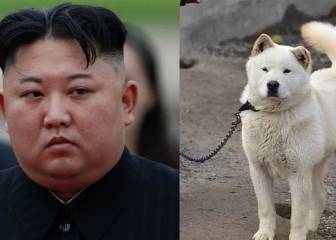 Kim Jong-Un prohíbe tener perros como mascota en Corea del Norte