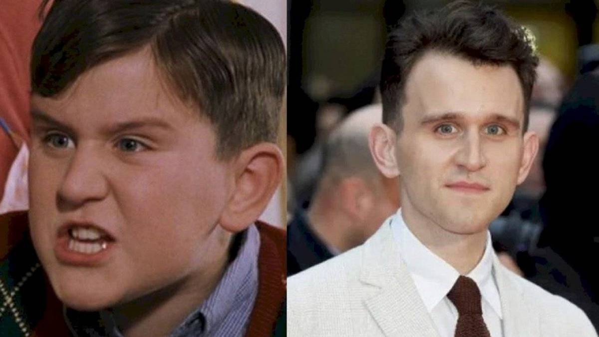 Qué fue del actor de Dudley Dursley? El primo de Harry Potter sale ahora en  Netflix - AS.com