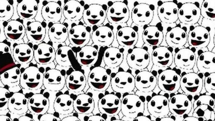 ¿Eres capaz de encontrar el balón de fútbol entre todos estos pandas?