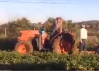 Como un sketch de José Mota: la discusión indescriptible entre dos agricultores