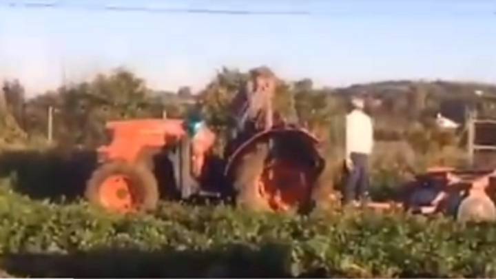 Como un sketch de José Mota: la discusión entre dos agricultores que fascina en Twitter