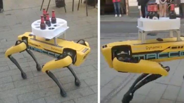 Aparece un perro-robot de Boston Dynamics sirviendo cervezas en Sevilla