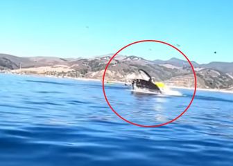Graban el impactante momento en el que una ballena derriba a dos kayakistas