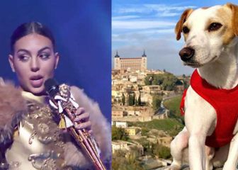 Lo más visto en redes: desde Georgina en ‘Mask Singer’ al primer perro influencer