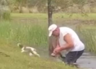 Un hombre libera a su cachorro en el último momento de las fauces de un caimán