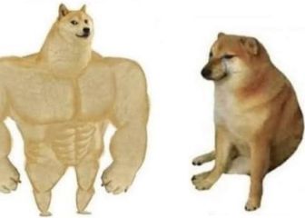 Balltze, el perro que originó el meme del 'perro fuerte', cumple 10 años