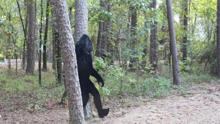 En Oklahoma quieren abrir una temporada de caza del Bigfoot