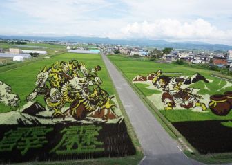El pueblo japonés en el que los arrozales se convierten en obras de arte