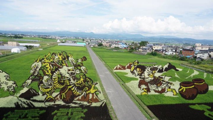 El pueblo japonés en el que los arrozales se convierten en obras de arte