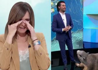 El ataque de risa de Mónica López en TVE a causa de una marmota gigante