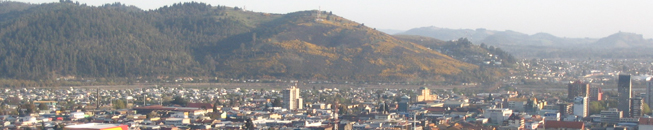 Temuco