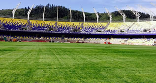 Estadio