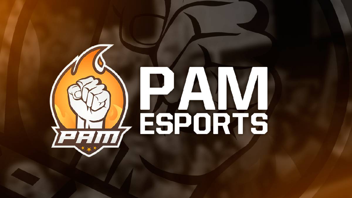 Entrevista a PAM Esports