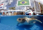 La tortuga 'Cabezona' predice
que Brasil ganará a Croacia