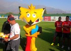 Ya se conoce la mascota de la Copa América de Chile 2015