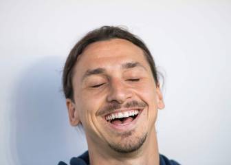 Ibrahimovic: 