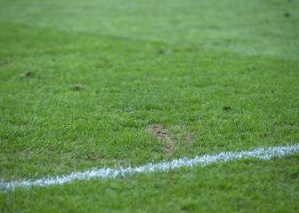 Portugal e Italia no trabajan en los estadios por el césped