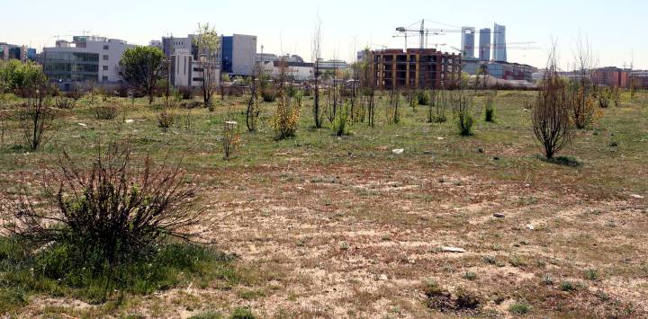 Los terrenos del Real Madrid en las Tablas por los que ahora tiene que pagar al Ayuntamiento
