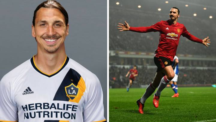 Según la FOX, Zlatan Ibrahimovic jugará en Los Ángeles Galaxy la próxima temporada.