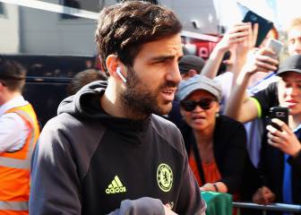 Fabregas sería nuevo refuerzo del Milan de Matías Fernández
