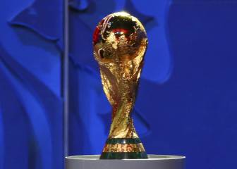Falta 1 año para el Mundial: así está la clasificación para Rusia