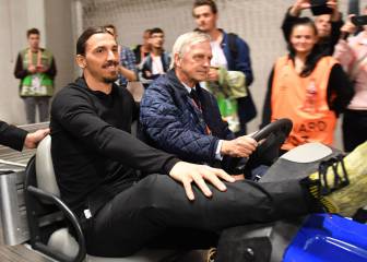 Ibrahimovic: 