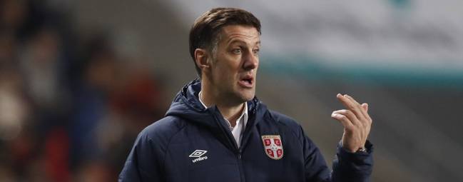 Mladen Krstajic, Serbia coach