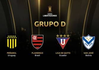 Copa Libertadores 2019: análisis completo del grupo D