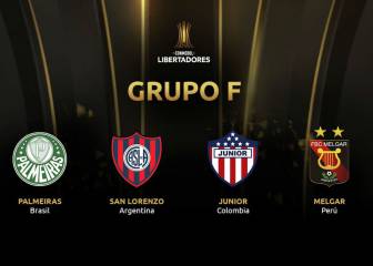 Copa Libertadores 2019: análisis completo del grupo F