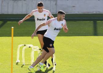 Maxi, ya recuperado: 