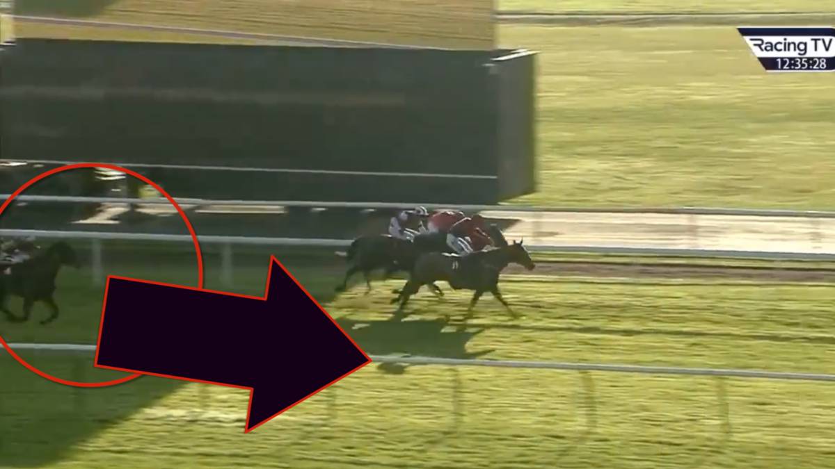 Se cumple un año de esta locura: el caballo que no aparecía ni en plano, estaba 999 a 1 en las apuestas y ganó