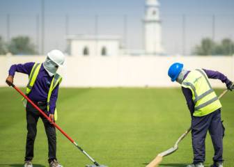 Qatar University provides 12 training camps for World Cup