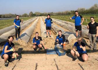 Las jugadoras del Sand cambian el balón por la agricultura