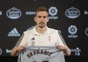 Bradaric: 