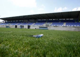 Espanyol: 27 jugadores inscritos para el búnker de la Dani Jarque