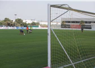 Villarreal: tests, mañana; y el inicio del trabajo, el jueves