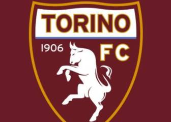 El COVID-19 vuelve a golpear en el Calcio: un positivo en el Torino