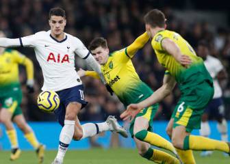El Norwich de la Premier pide que se anulen los descensos si no se juega el 'Championship'