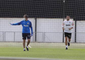 Celades, en su hábitat natural