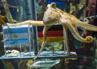 El oráculo, el pulpo Paul