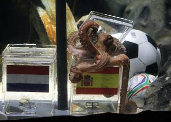 Mundial-2010: pasó el 9 de julio