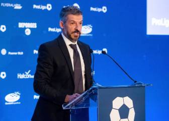 El TAD anula las sanciones leves de cara al Playoff