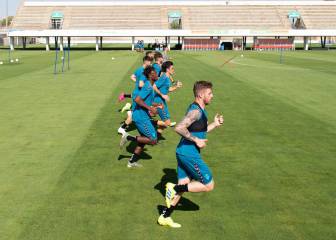 José Luis Ibáñez: 