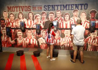 Territorio Atleti: 5.000 visitas y Fernando Torres de estrella