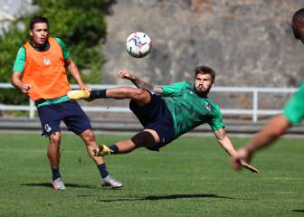 Brotes verdes en Zubieta