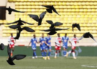 Las palomas, espectadoras en el Mónaco-Estrasburgo