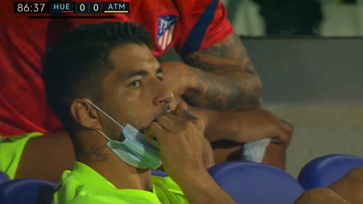 Va para ídolo: la imagen de Luis Suárez en la grada que representa a los atléticos