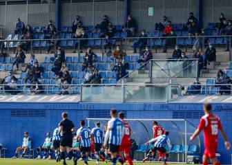 Los pericos vuelven a casa